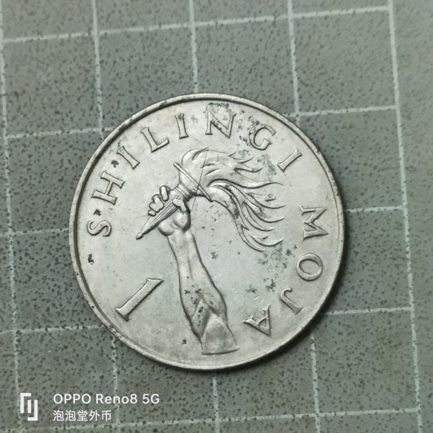 泡泡堂微拍第四十二幕硬币捡漏专场👿👿，零佣金，零押金，累计满二十元包邮 坦桑尼亚火炬一先令