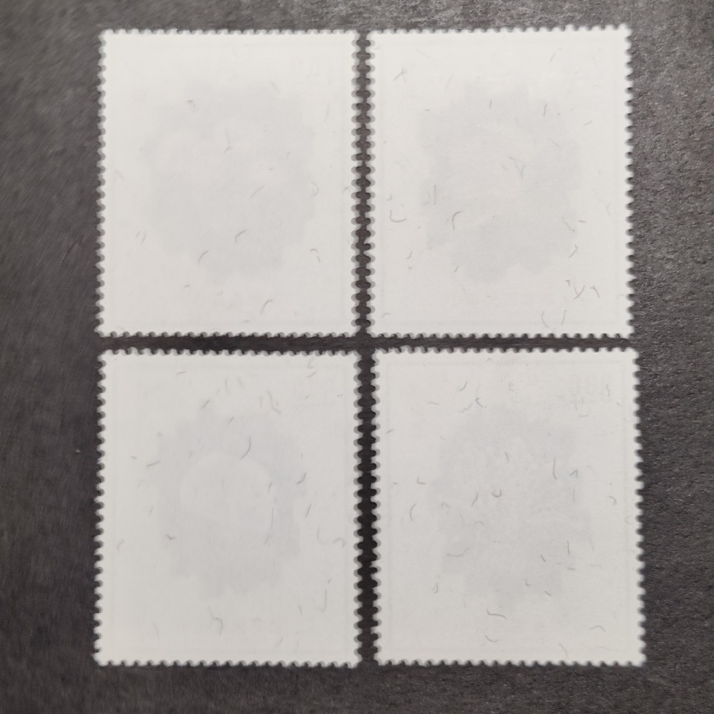 洪涛臻品批发群  精选邮票限时拍卖第一百零三期 食用菇 4全新 面艳背白 原胶全品！