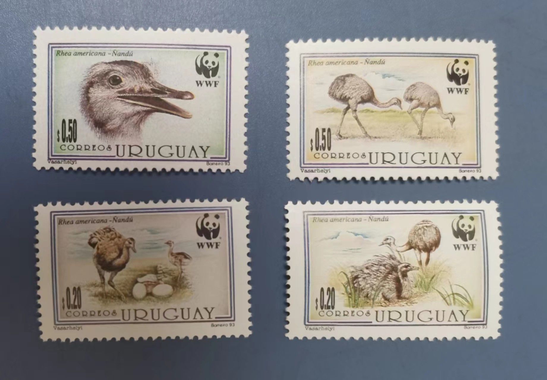 世家收藏第十八期“世界杯”号邮票钱币专场（自动截拍） 乌拉圭1993WWF美洲鸵鸟邮票4全新 野生动物