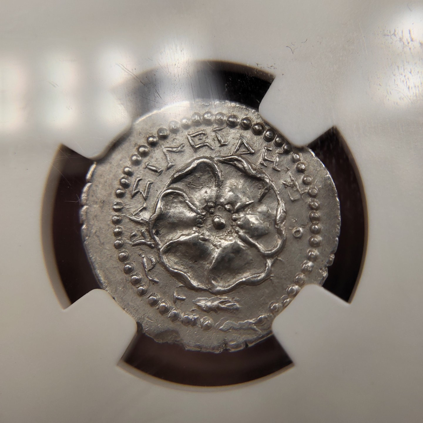 王之爱好～外国古币 古希腊卡里亚的罗德岛银币