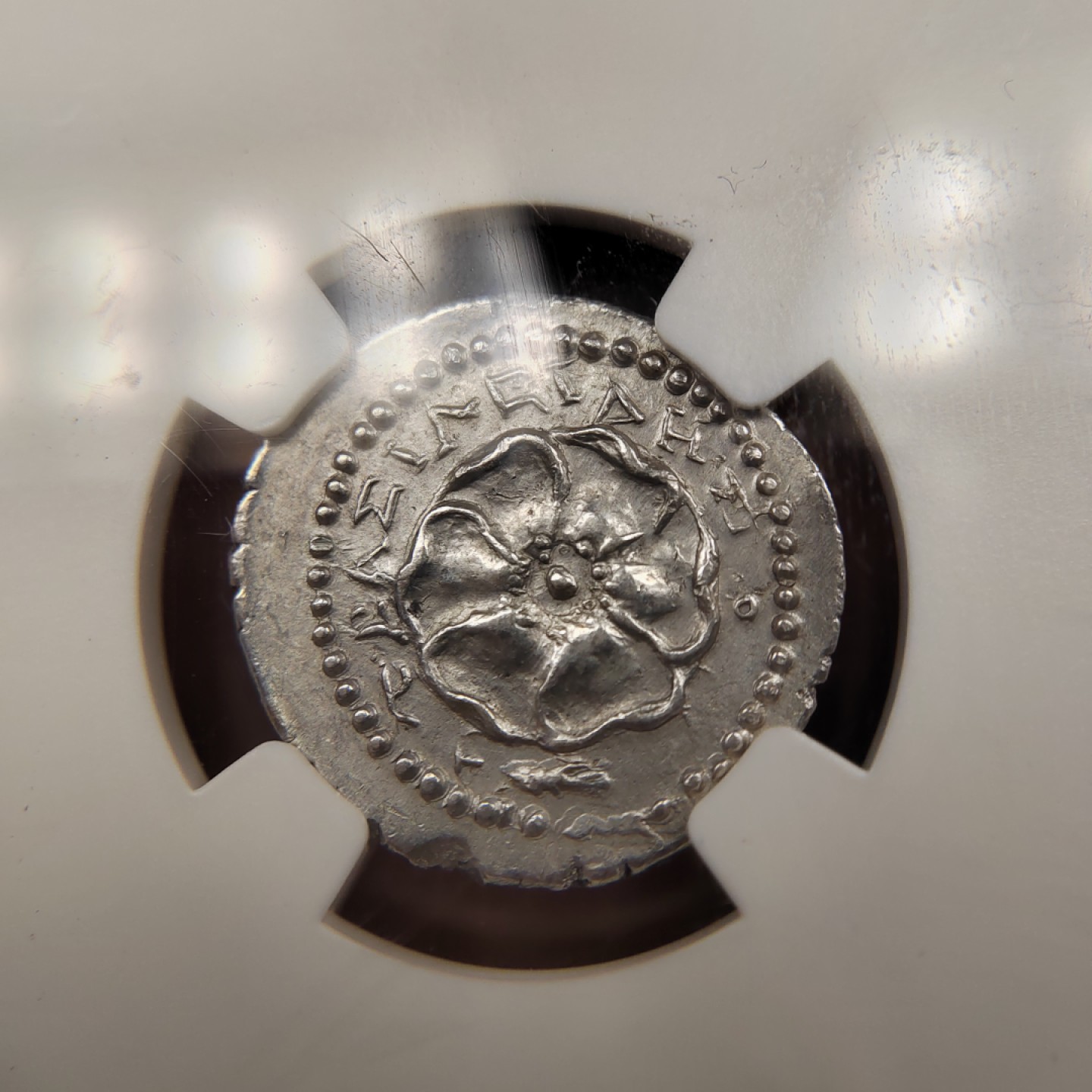 王之爱好～外国古币 古希腊卡里亚的罗德岛银币