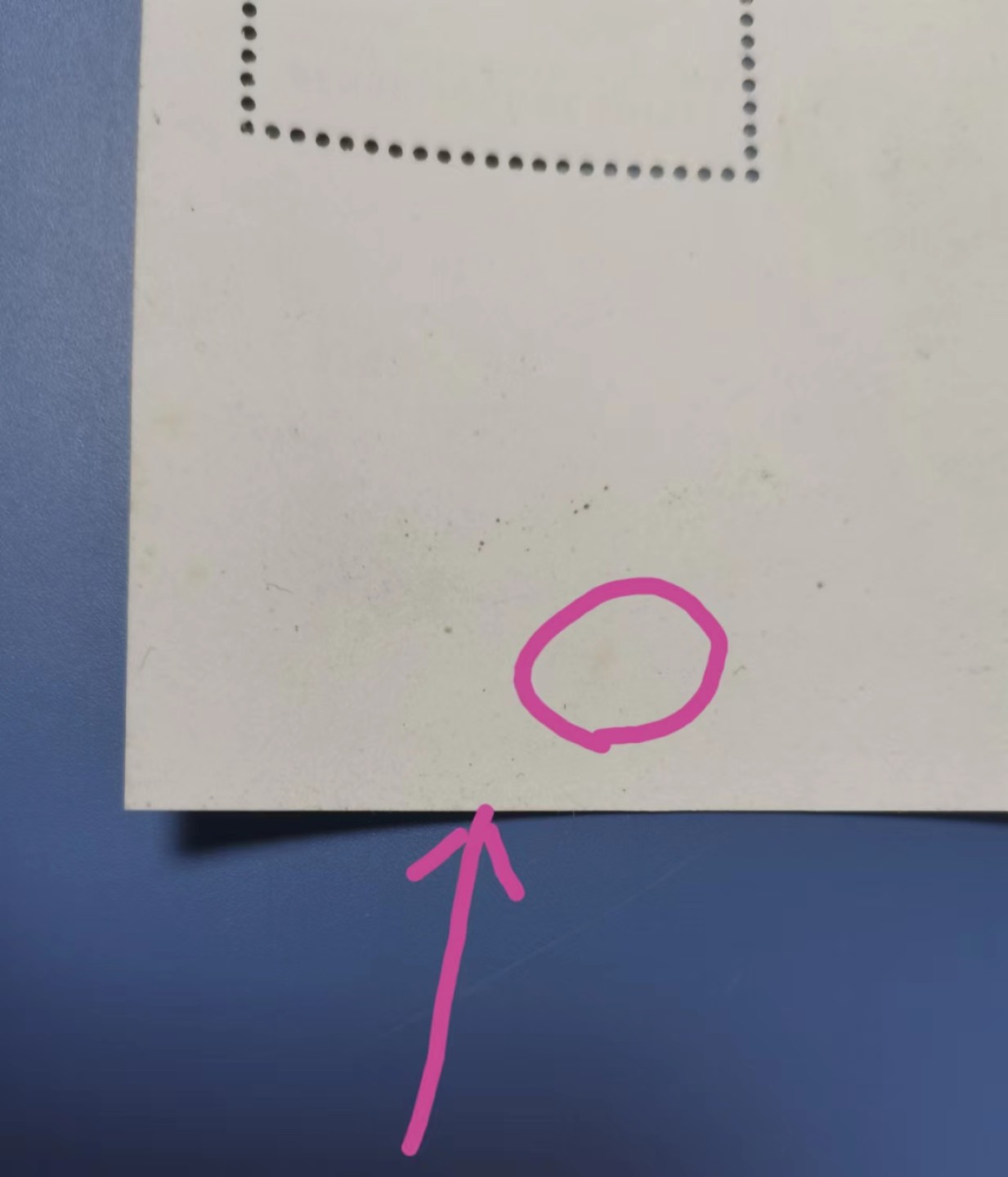 世家收藏第十八期“世界杯”号邮票钱币专场（自动截拍） 几内亚1996宠物犬小型张1全新（小型张背面边缘处有小黄点儿）