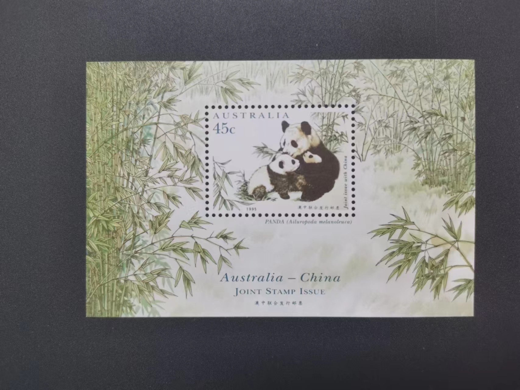 世家收藏第十八期“世界杯”号邮票钱币专场（自动截拍） 澳大利亚1995澳中联合发行•大熊猫小型张1全新