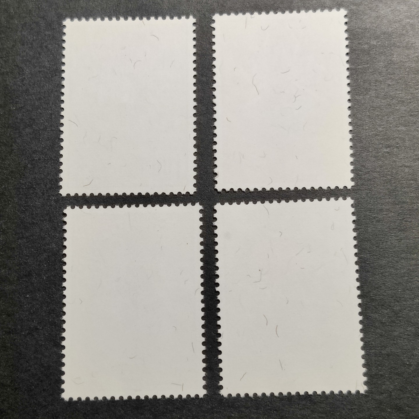 洪涛臻品批发群  精选邮票限时拍卖第一百期 1974年 花卉(四) 4全新  面艳背白 原胶全品！