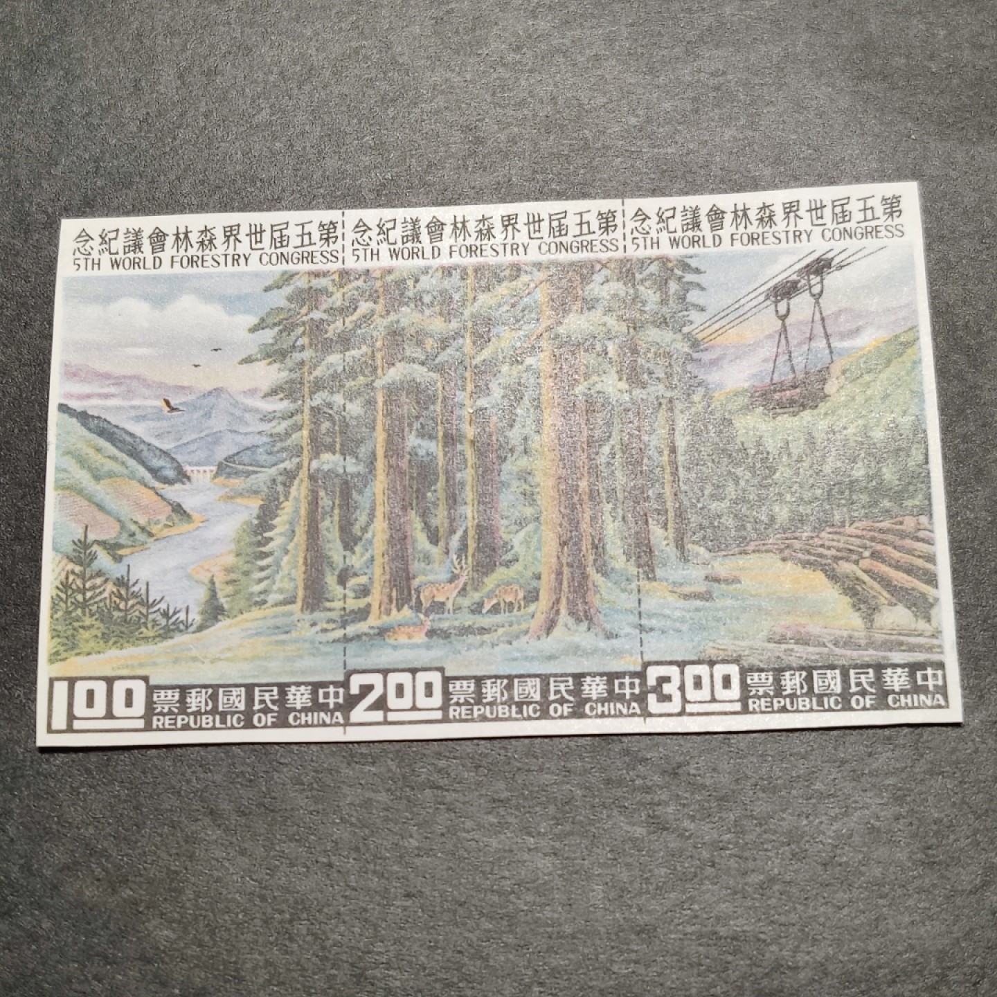洪涛臻品批发群  精选邮票限时拍卖第一百期  1960年 世界森林会议小全张(参考图2) 内芯 少见品种！ 该票纸张非常纤薄，非常难保存！本项面艳背白 原胶无贴 
