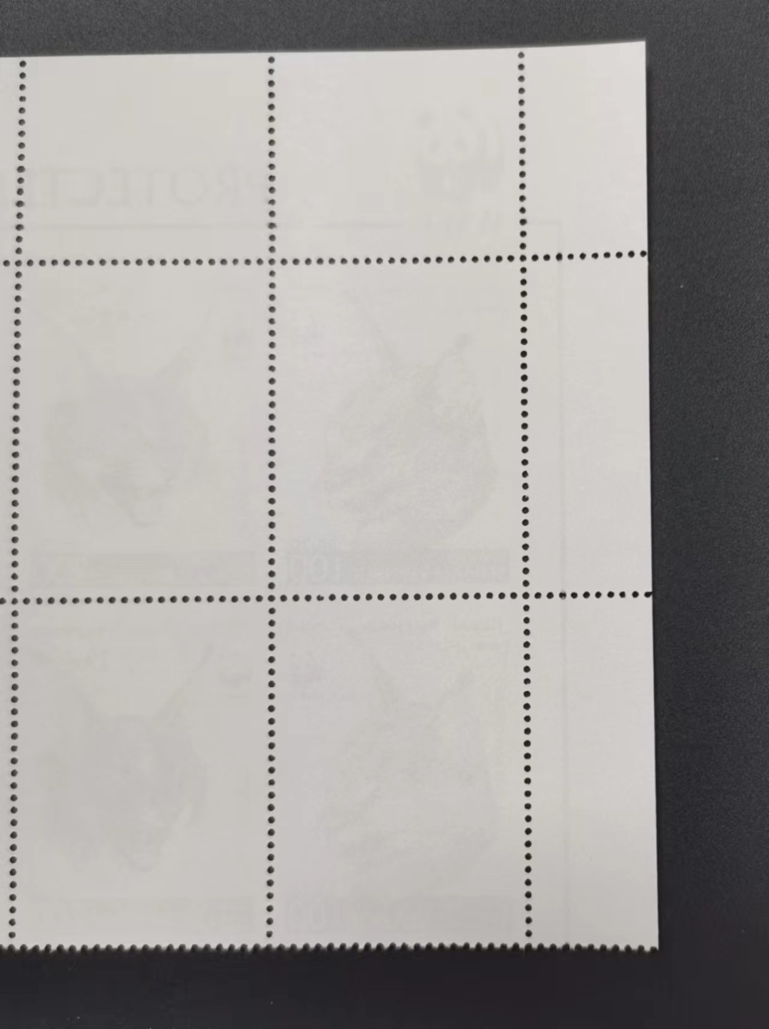 世家收藏第十八期“世界杯”号邮票钱币专场（自动截拍） 索马里1998WWF保护濒危物种•非洲狞猫邮票4全新（四方联连印）