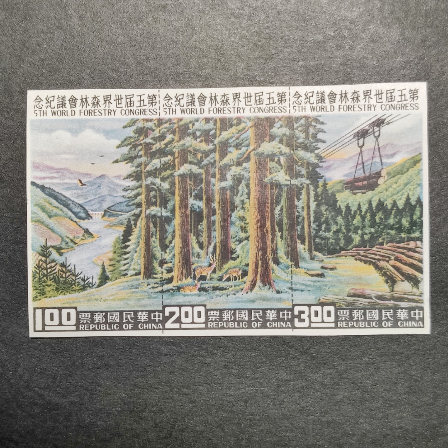 洪涛臻品批发群  精选邮票限时拍卖第一百期  1960年 世界森林会议小全张(参考图2) 内芯 少见品种！ 该票纸张非常纤薄，非常难保存！本项面艳背白 原胶无贴 