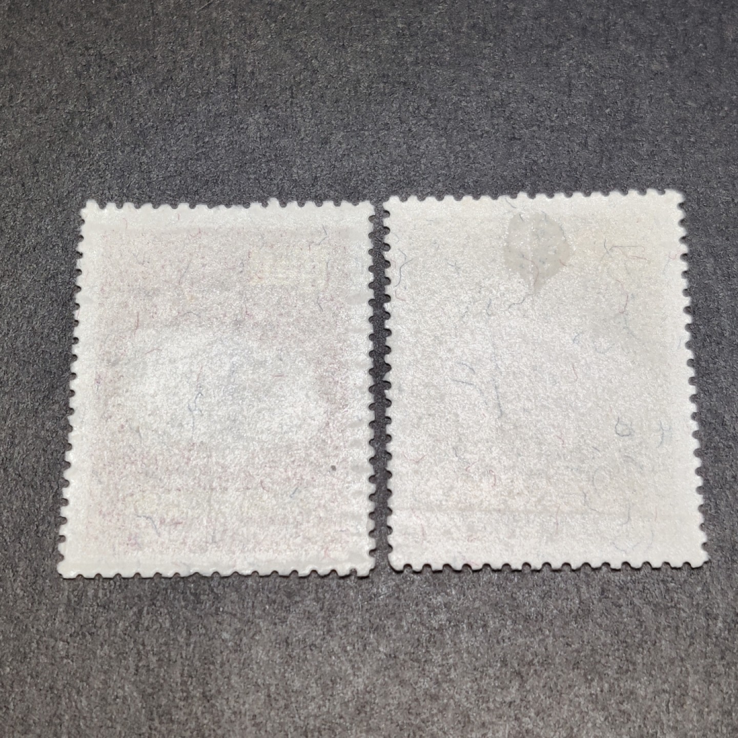 洪涛臻品批发群  精选邮票限时拍卖第一百零五期 生肖猪年 新票全套 面艳背白票挺 1处玻璃胶 原胶润亮 ！