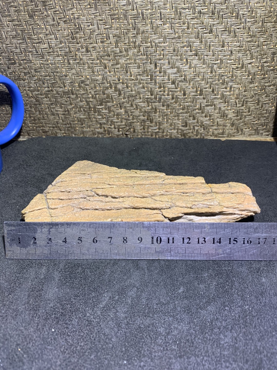 精美新疆龟裂纹泥石原石把件（镇纸，摆件） 一块