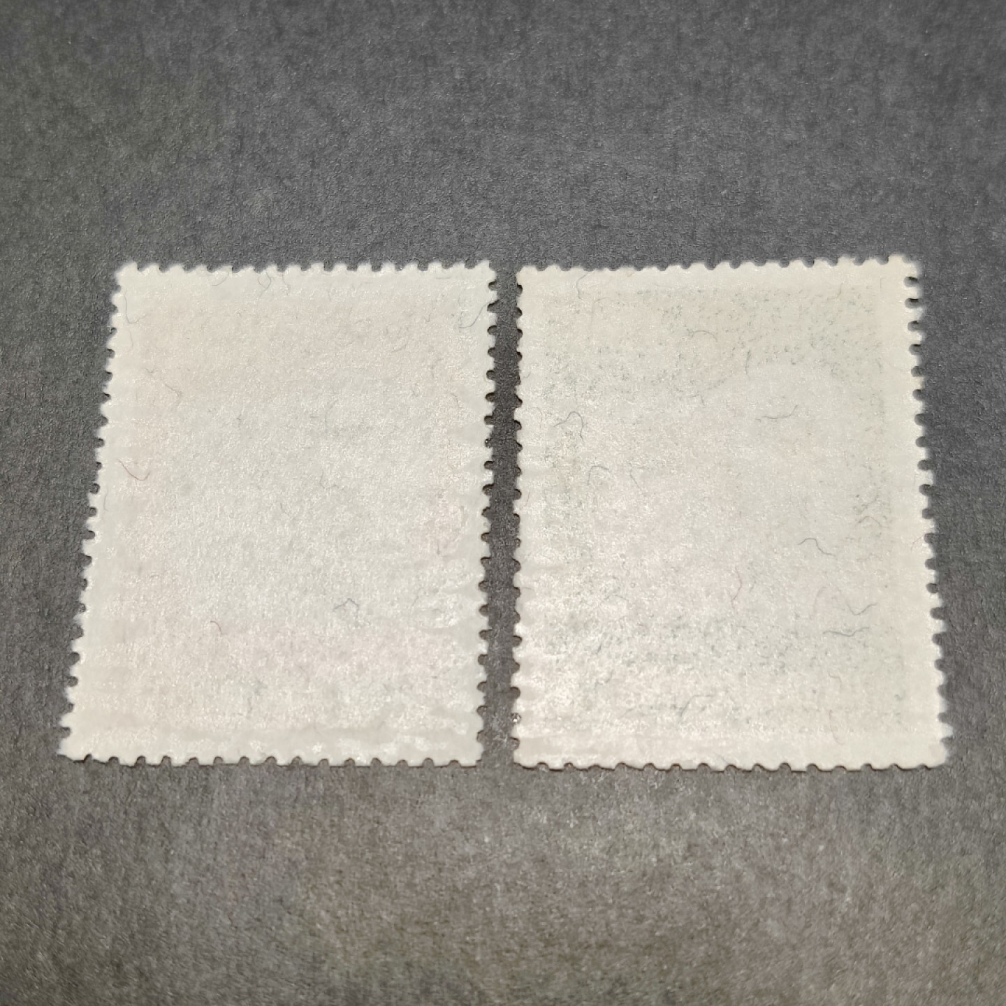 洪涛臻品批发群  精选邮票限时拍卖第一百零五期 生肖狗年 2全新 经典草纸票 面艳背白全品！