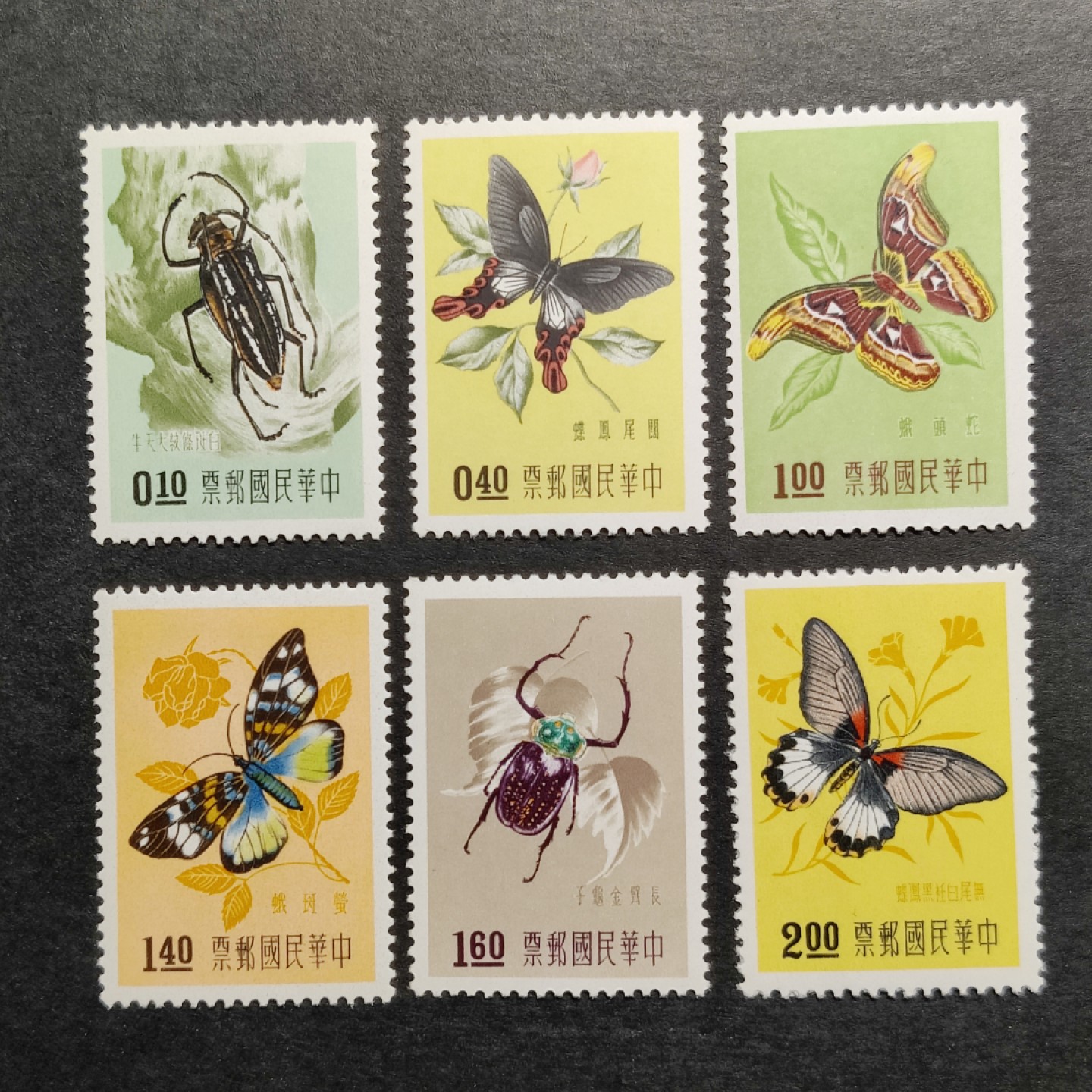 洪涛臻品批发群  精选邮票限时拍卖第一百期 1958年 昆虫(参考图2)  6全 面艳背白，原胶润亮全品！ 