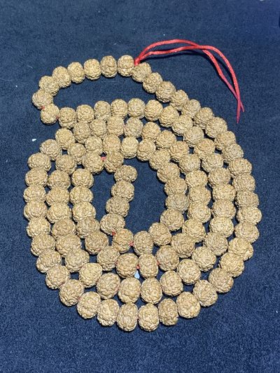 南瓜双龙纹五瓣双龙纹小金刚菩提籽一条， - 南瓜双龙纹五瓣双龙纹小金刚菩提籽一条，