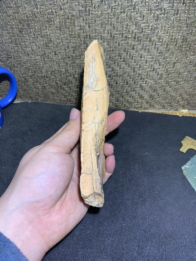 精美新疆龟裂纹泥石原石把件（镇纸，摆件） 一块 - 精美新疆龟裂纹泥石原石把件（镇纸，摆件） 一块