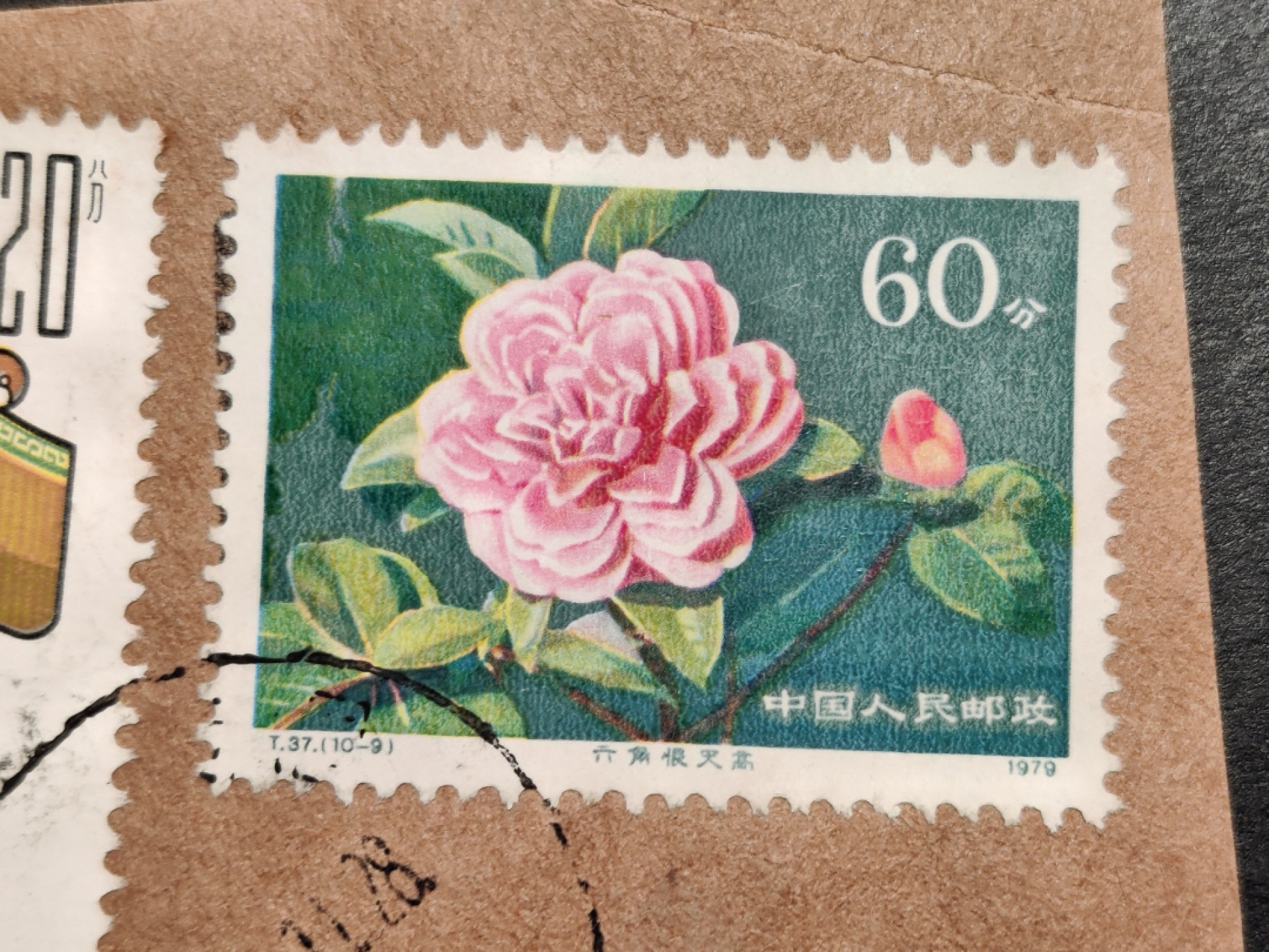 洪涛臻品批发群  精选邮票限时拍卖第一百期 T45脸谱20分,T37山茶花60分 品很好 海关戳国际实寄封剪片