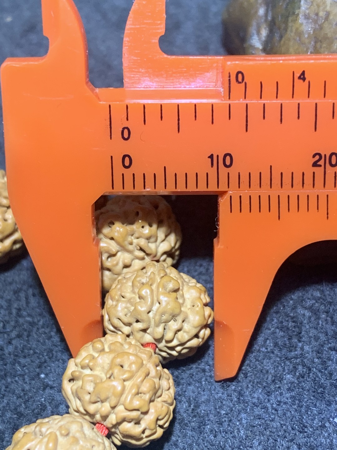 南瓜双龙纹五瓣双龙纹小金刚菩提籽一条，