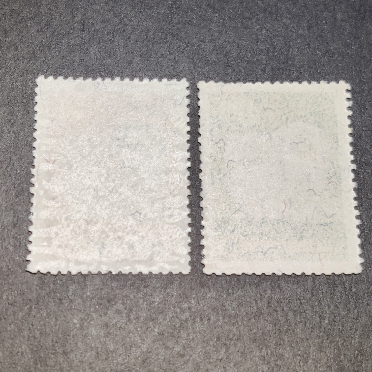 洪涛臻品批发群  精选邮票限时拍卖第一百零五期 生肖狗年 2全新 经典草纸票 面艳背白全品！