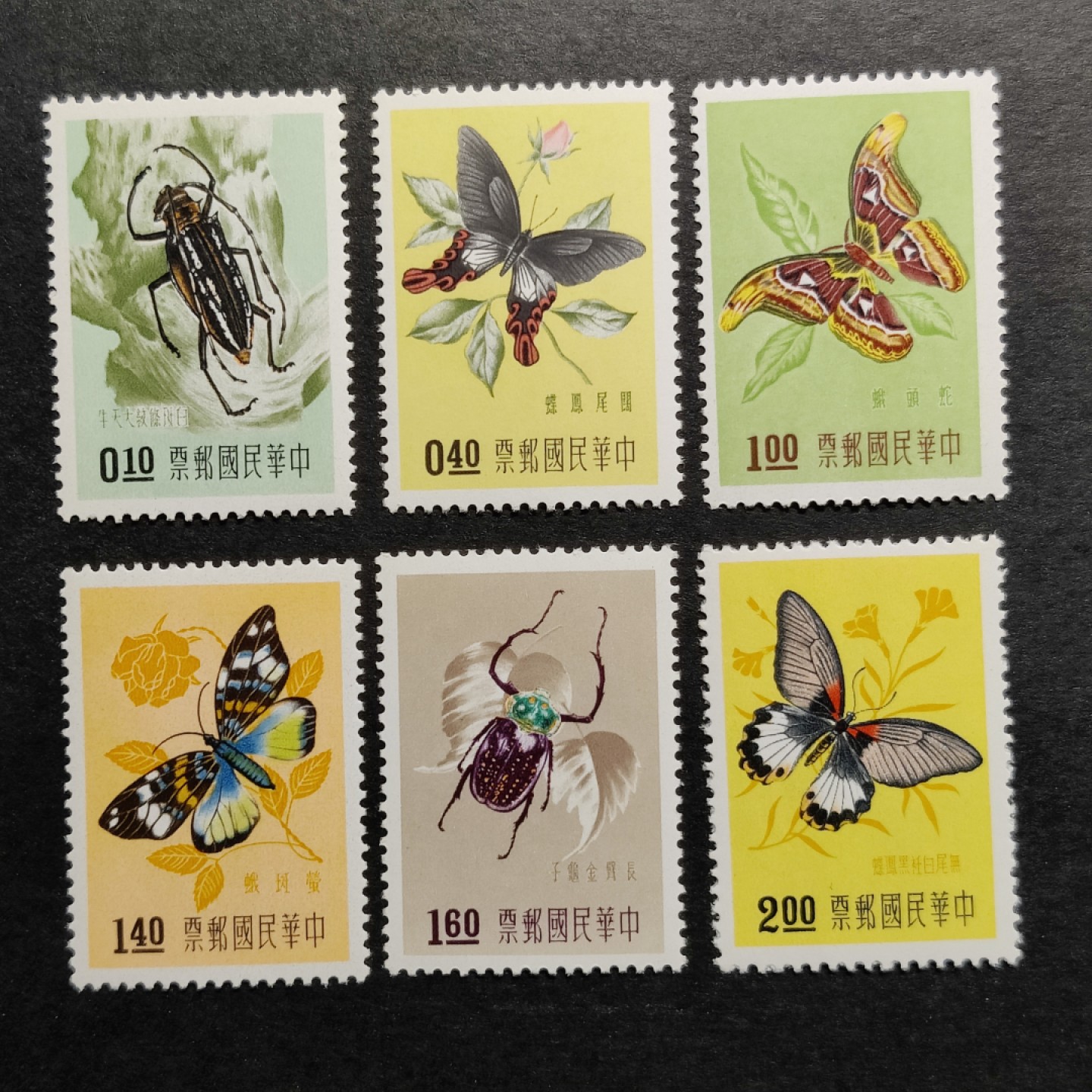 洪涛臻品批发群  精选邮票限时拍卖第一百期 1958年 昆虫(参考图2)  6全 面艳背白，原胶润亮全品！ 