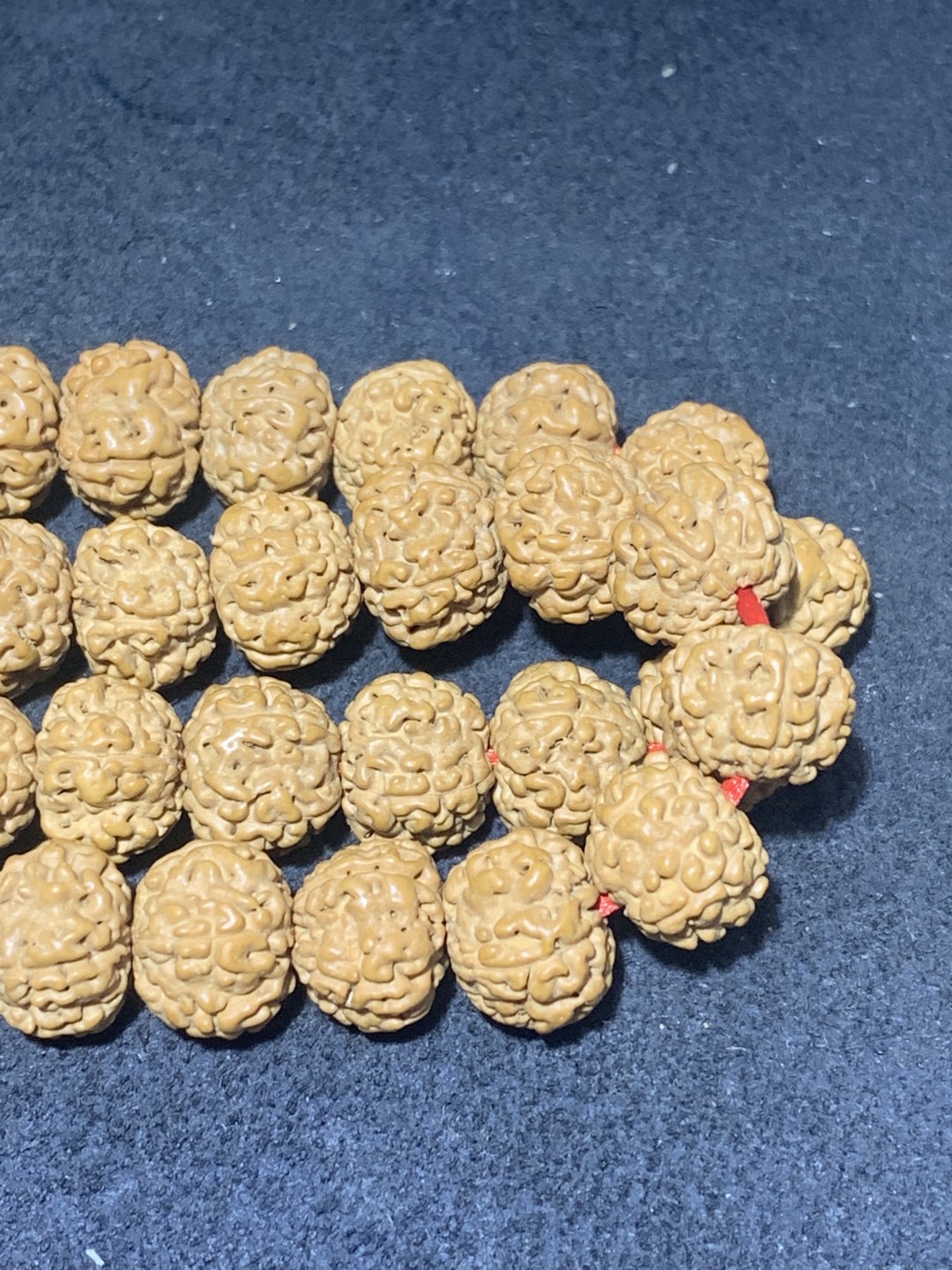 南瓜双龙纹五瓣双龙纹小金刚菩提籽一条，