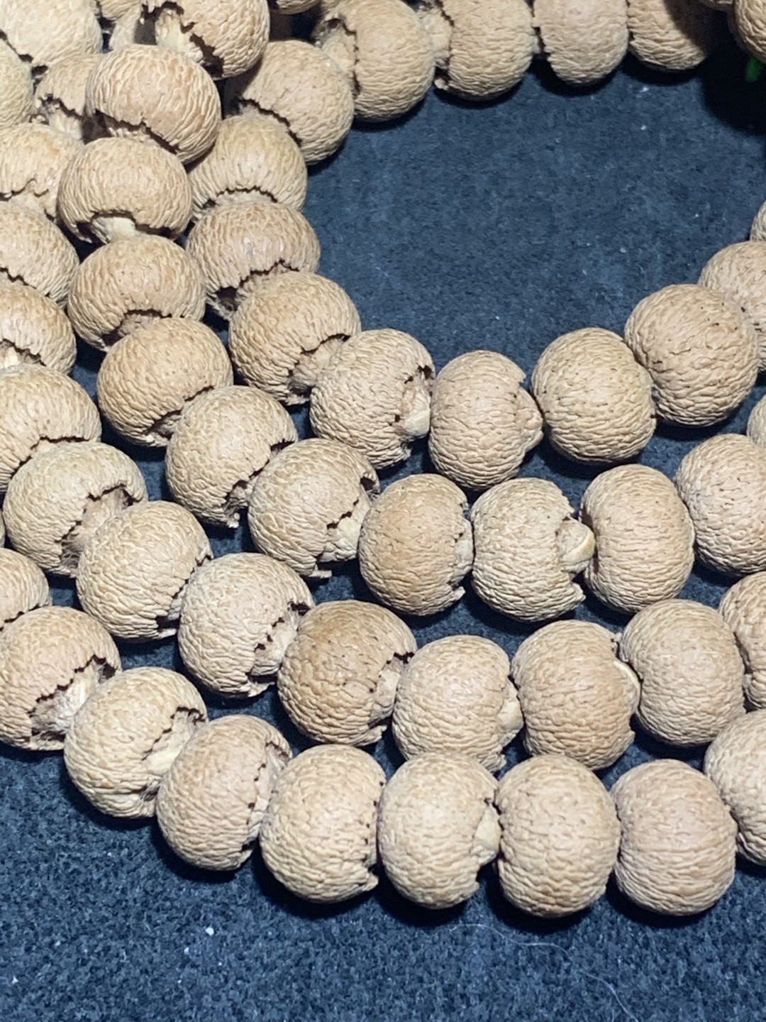 矮桩的磨盘莲花菩提108一条，