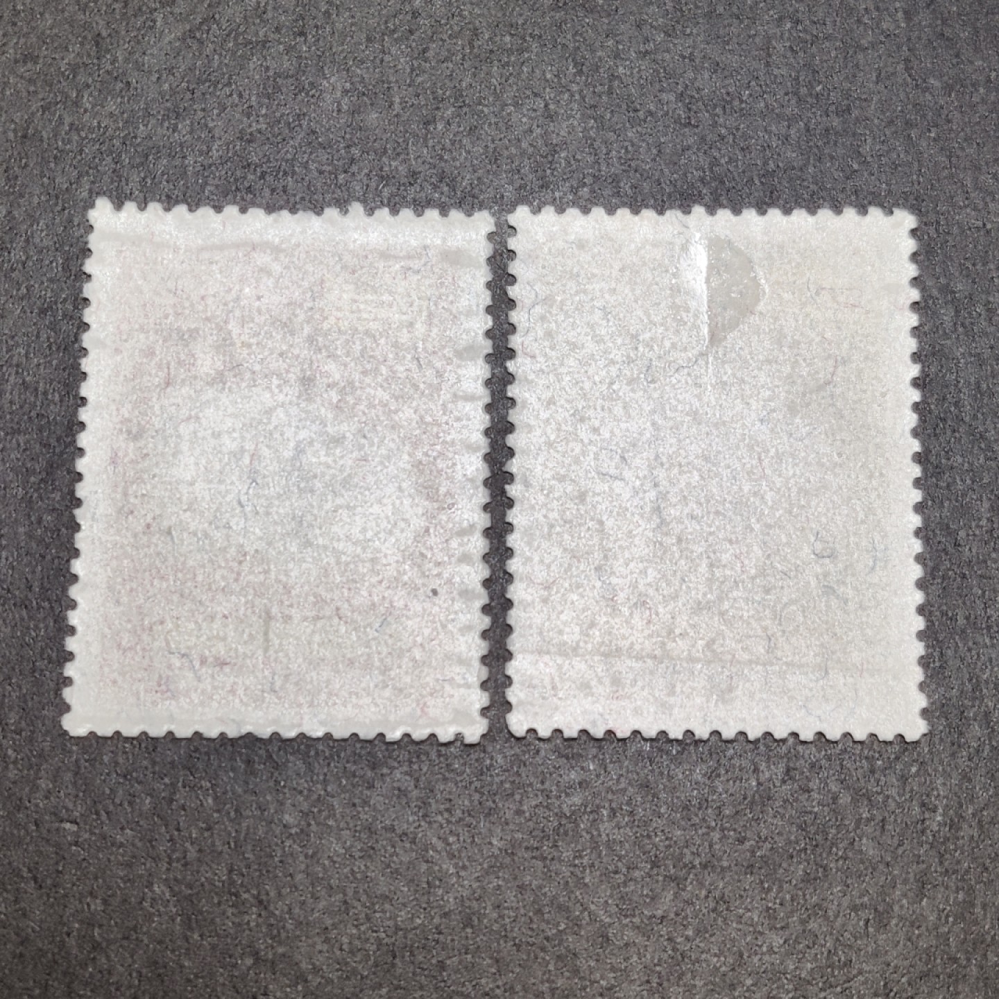 洪涛臻品批发群  精选邮票限时拍卖第一百零五期 生肖猪年 新票全套 面艳背白票挺 1处玻璃胶 原胶润亮 ！