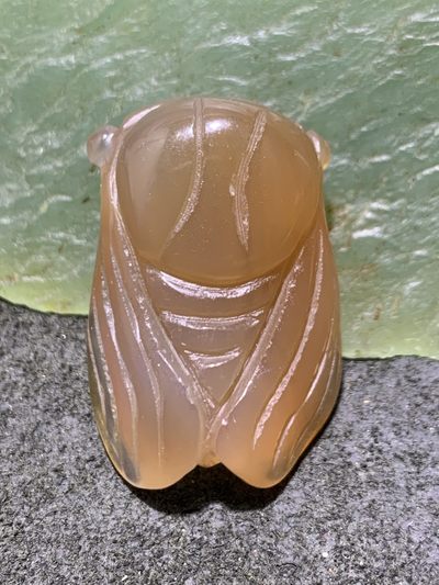 精美高玉化巴西玛瑙雕刻蝉(一鸣惊人)一个 - 精美高玉化巴西玛瑙雕刻蝉(一鸣惊人)一个