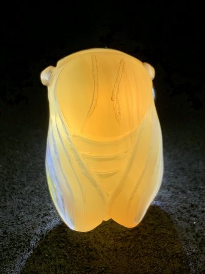 精美高玉化巴西玛瑙雕刻蝉(一鸣惊人)一个 精美高玉化巴西玛瑙雕刻蝉(一鸣惊人)一个