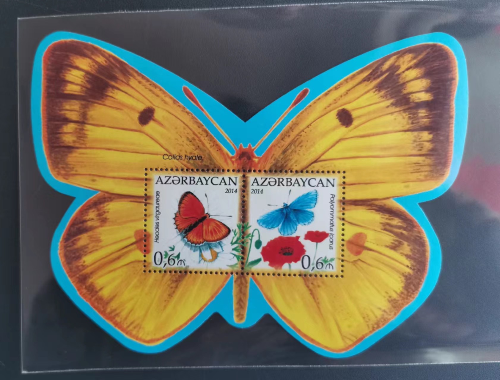世家收藏第十八期“世界杯”号邮票钱币专场（自动截拍） 阿塞拜疆2014蝴蝶小全张1全新（内含2枚邮票）特殊形状小全张