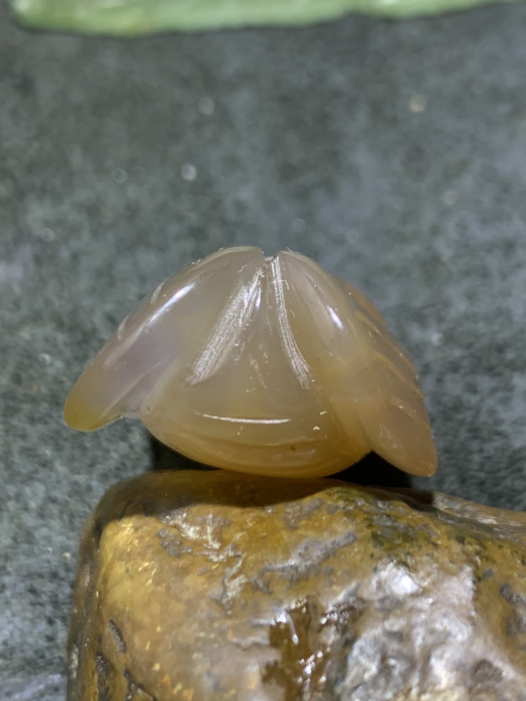 精美高玉化巴西玛瑙雕刻蝉(一鸣惊人)一个