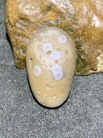 精美天然阿拉善高玉化糖心天眼玛瑙原石一颗， - 精美天然阿拉善高玉化糖心天眼玛瑙原石一颗，