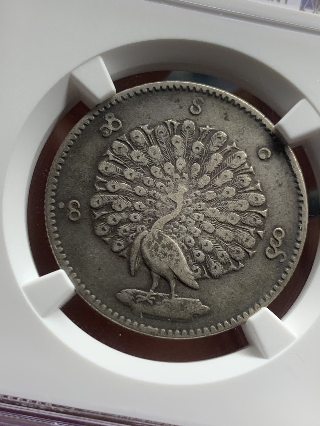 《竞宝斋》第121场-周日，周一 ，2场连拍（全场包邮） NGC-AU50 缅甸1852年孔雀Kyat 银币 原味深包浆 给分真的不易