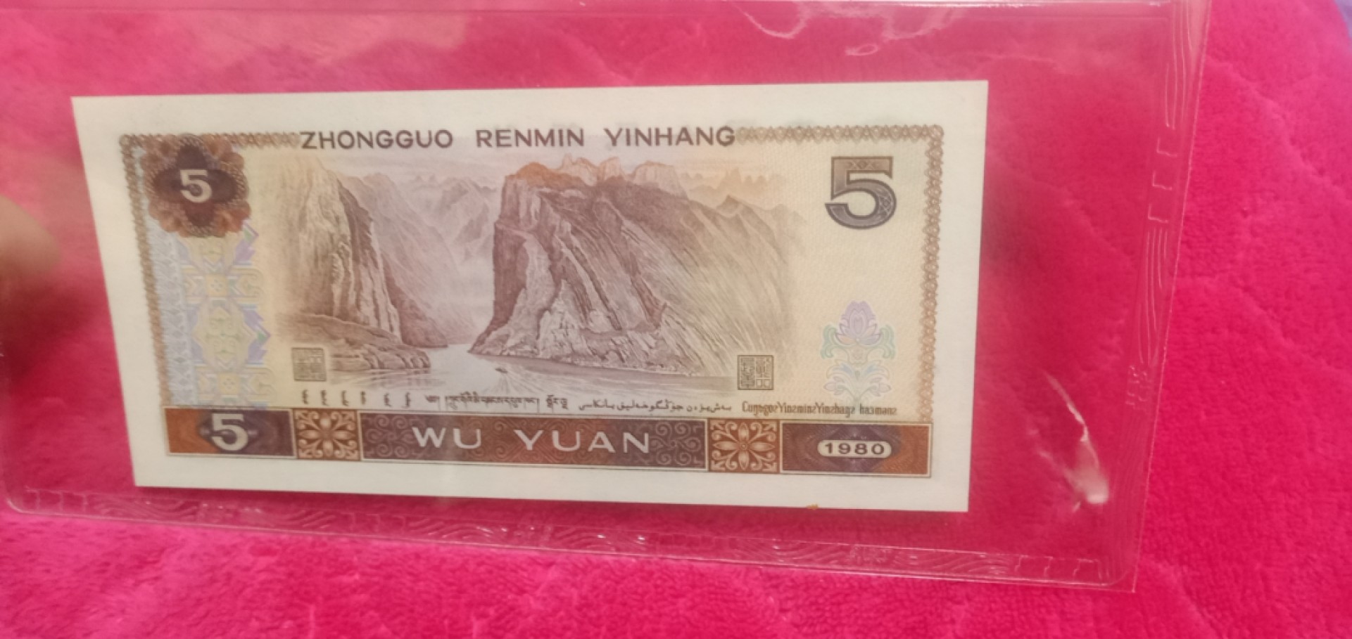 小英开心拍第624期 805红光蓝鹤一张，天印评级权威认证