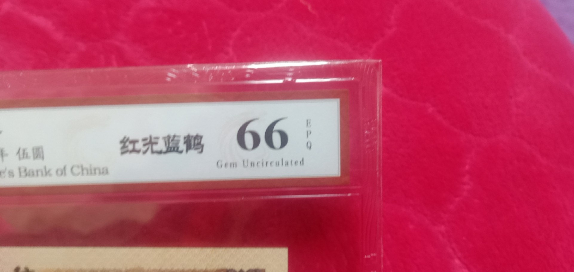 小英开心拍第624期 805红光蓝鹤一张，天印评级权威认证