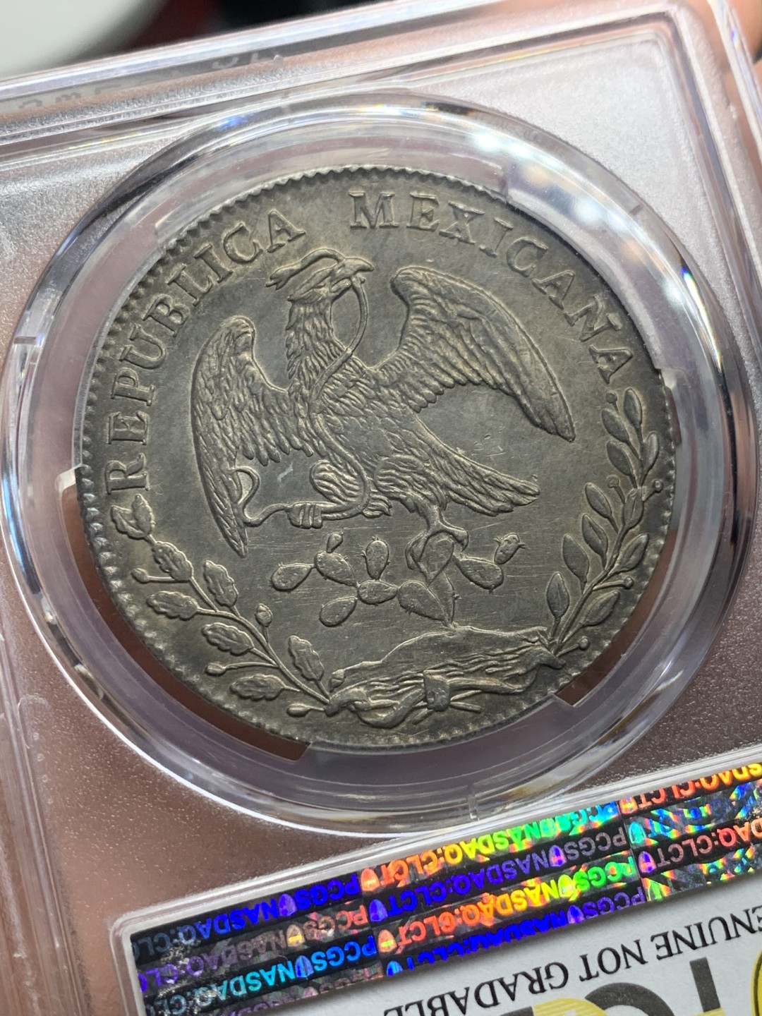 《竞宝斋》第121场-周日，周一 ，2场连拍（全场包邮） PCGS AUD  墨西哥 1882年 瓜纳华托 GO SB版 花边鹰洋，老包浆