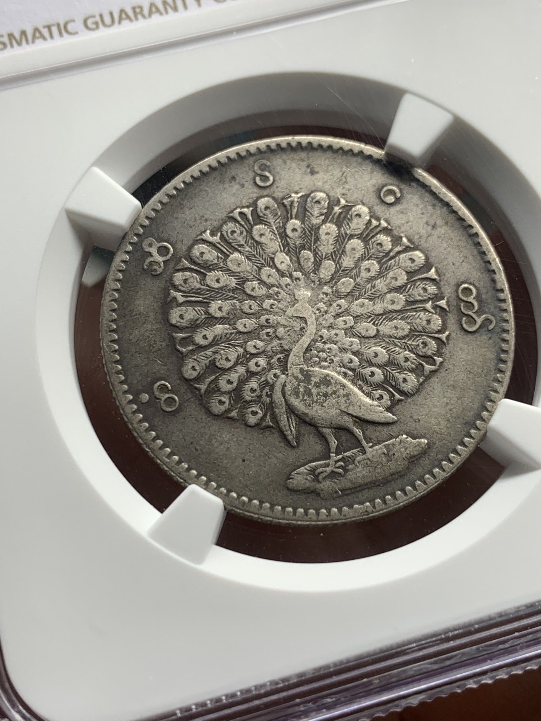 《竞宝斋》第121场-周日，周一 ，2场连拍（全场包邮） NGC-AU50 缅甸1852年孔雀Kyat 银币 原味深包浆 给分真的不易