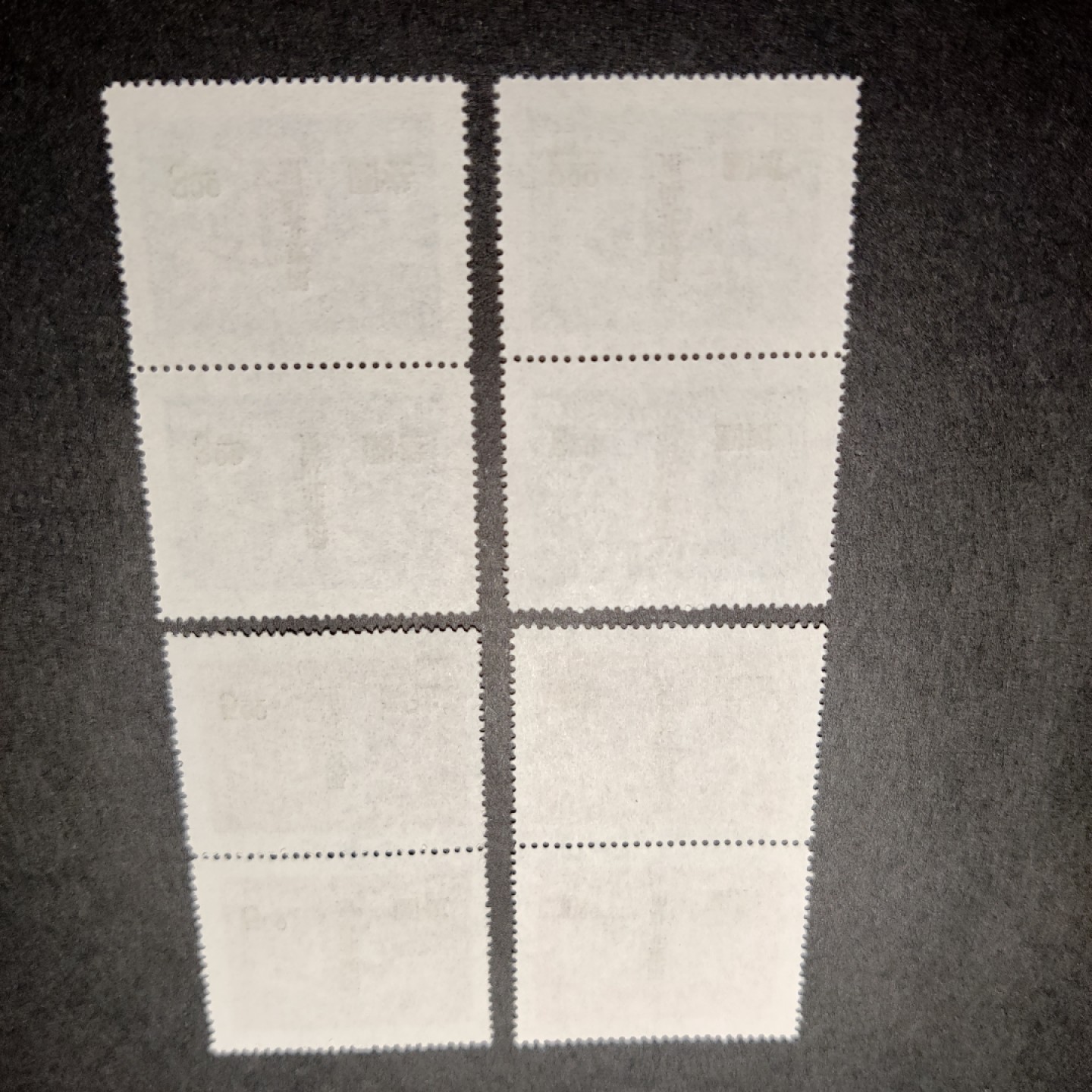 洪涛臻品批发群  精选邮票限时拍卖第一百零五期 国民大会东北贴用 版撕双联新票 面艳背白票挺 OP全品！