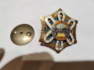 苏俄币章满洲里第四场 - 蒙古北极星勋章轮版 鉾钉问题 金水足