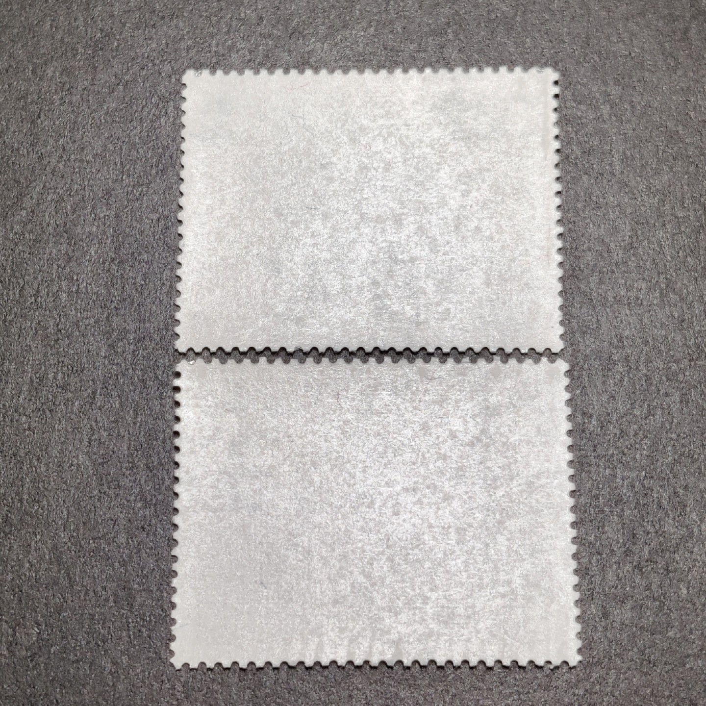 洪涛臻品批发群  精选邮票限时拍卖第一百零五期 亚洋邮盟 2全 面艳背白票挺全品！