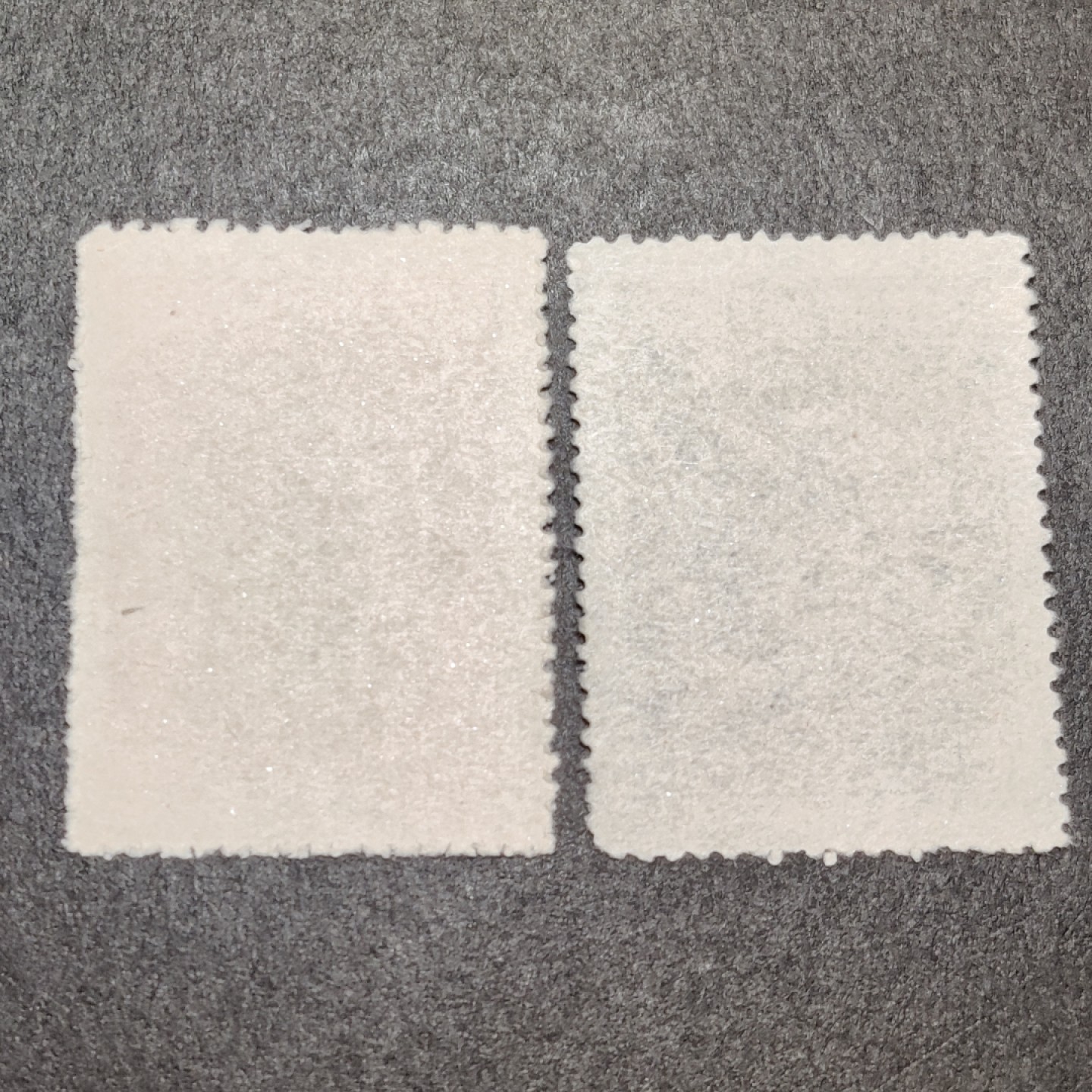 洪涛臻品批发群  精选邮票限时拍卖第一百零五期 纪1工会 2枚组  面艳背白 OP全品!