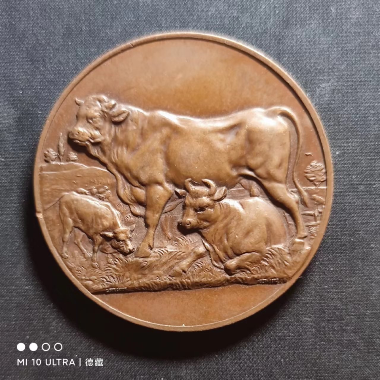 【德藏】世界纪念章专场拍卖 19世纪德国萨克森农业题材铜章