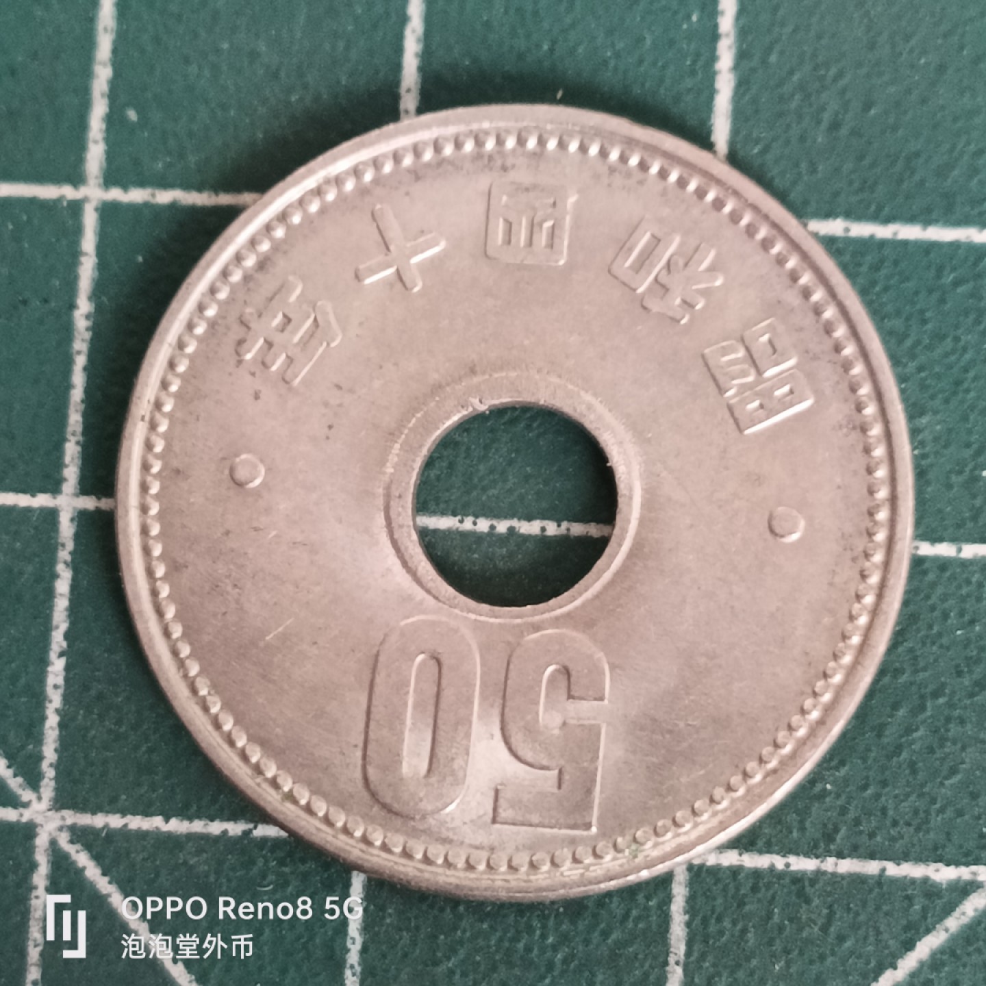 泡泡堂微拍第四十五幕硬币捡漏专场👿👿，零佣金，零押金，累计满二十元包邮 日本大菊花五元。