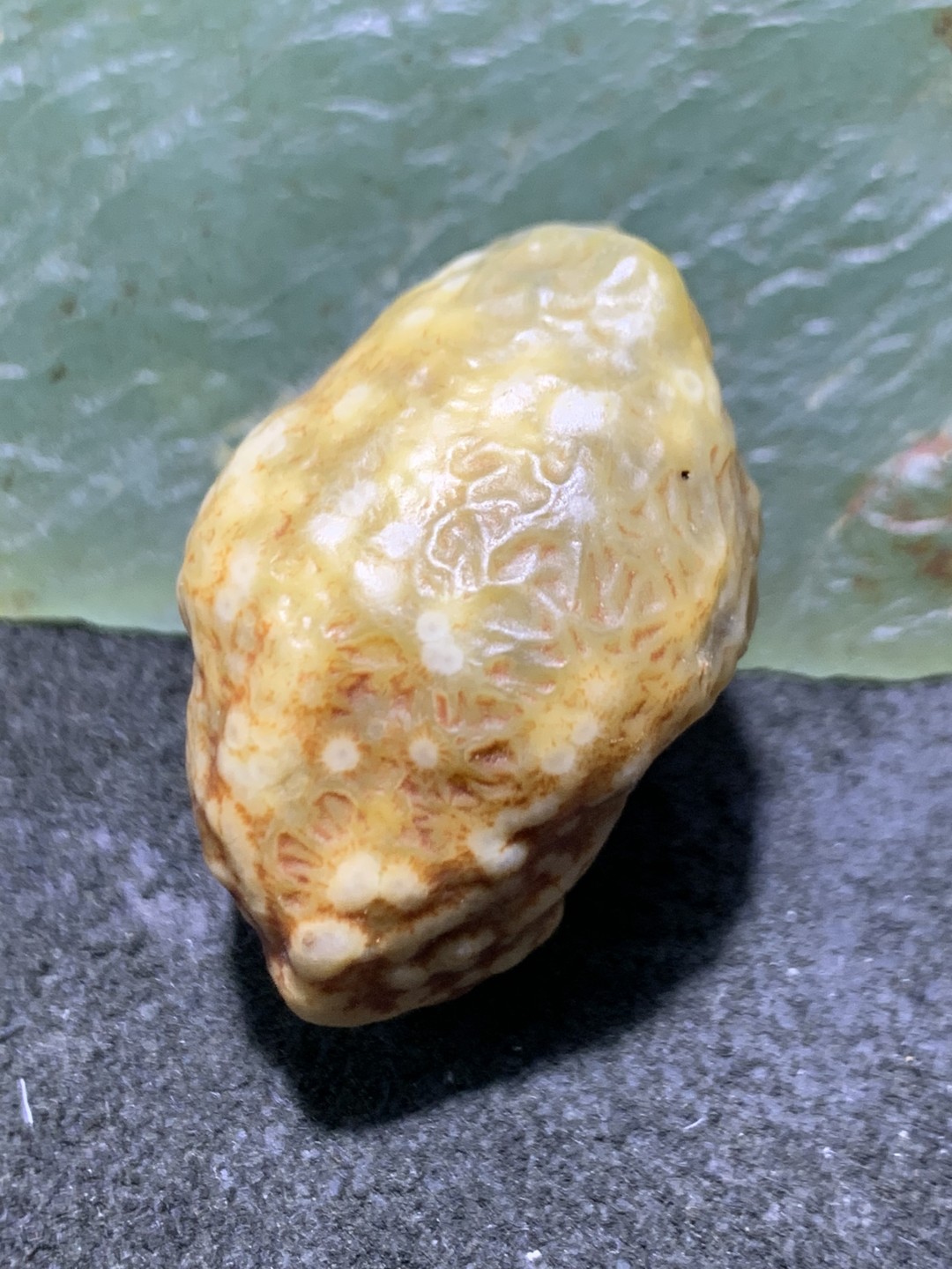 精美戈壁高玉化漂花鱼籽纹青花筋脉石原石一颗，