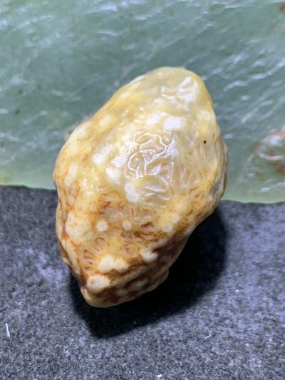 精美戈壁高玉化漂花鱼籽纹青花筋脉石原石一颗， - 精美戈壁高玉化漂花鱼籽纹青花筋脉石原石一颗，