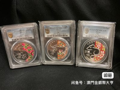 澳门2008-2019彩色生肖1盎司银币全套12枚（全部是PCGS70)  - 澳门2008-2019彩色生肖1盎司银币全套12枚（全部是PCGS70) 