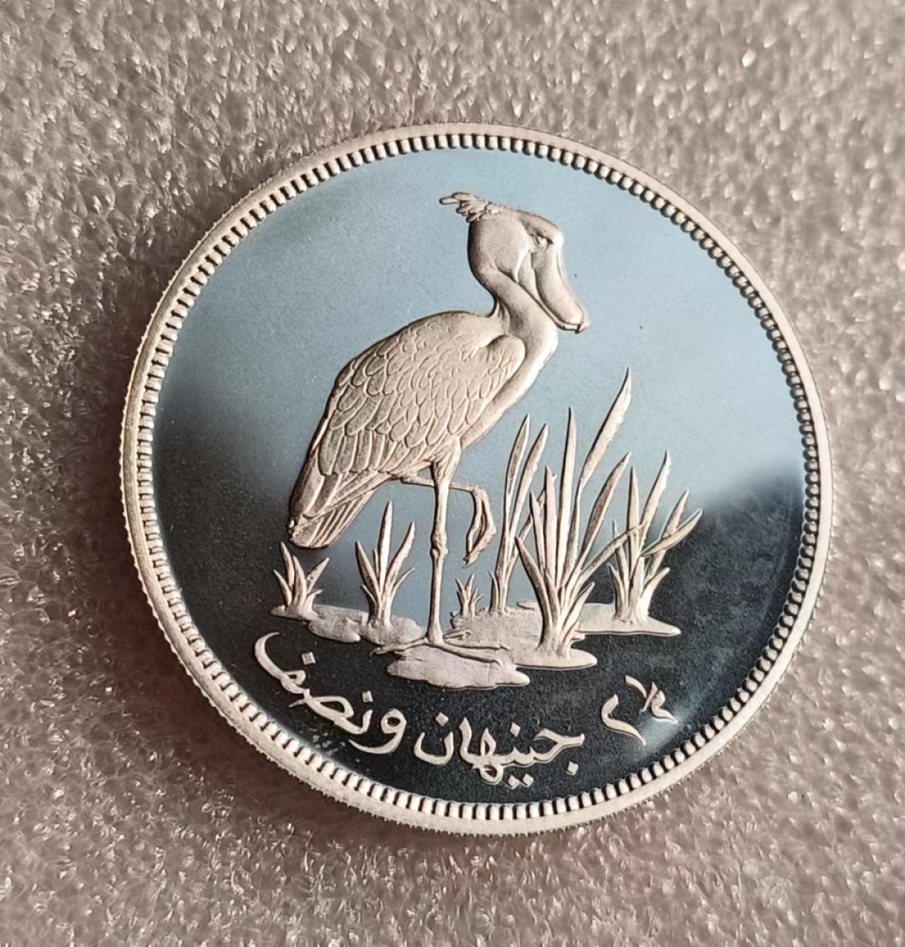 瓶子🏺第69期拍卖会 苏丹1976年动物鲸头鹳2.5磅精制大银币