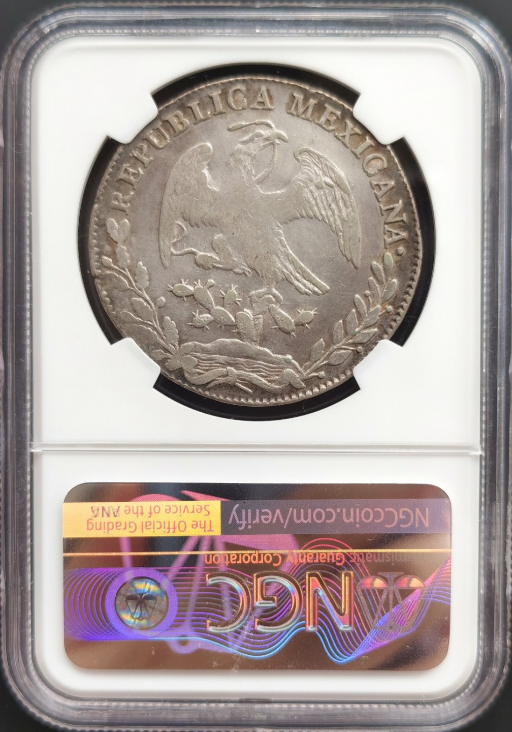 博洋堂世界钱币拍卖第008期（全场包邮） NGC XF 墨西哥1839年MO ML版花边鹰洋，少见早期