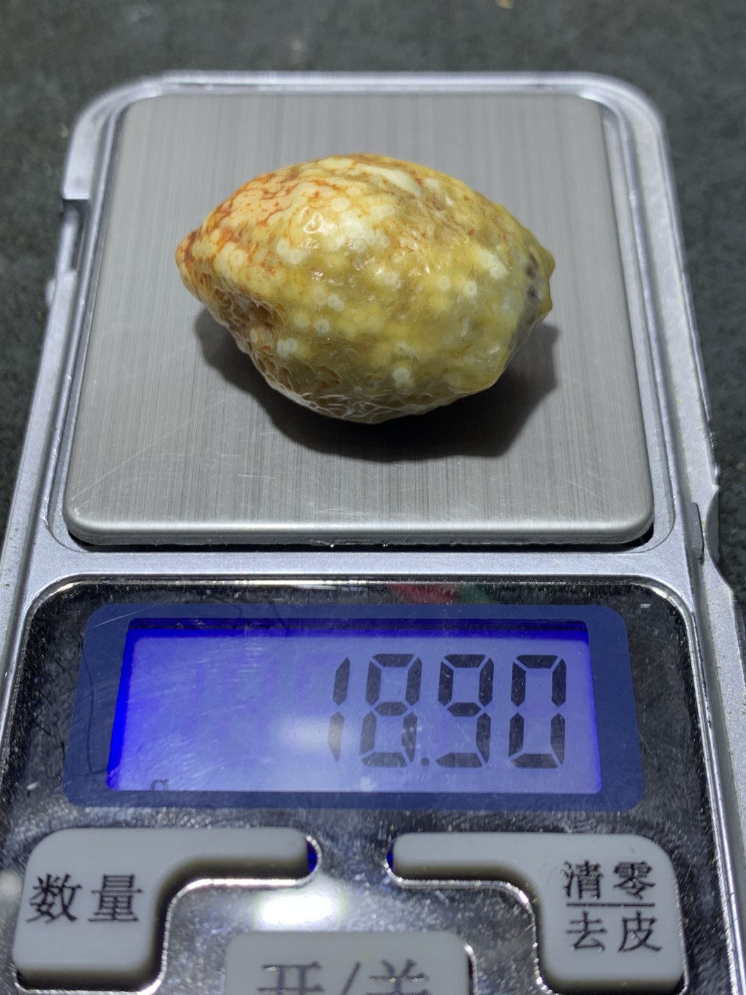 精美戈壁高玉化漂花鱼籽纹青花筋脉石原石一颗，