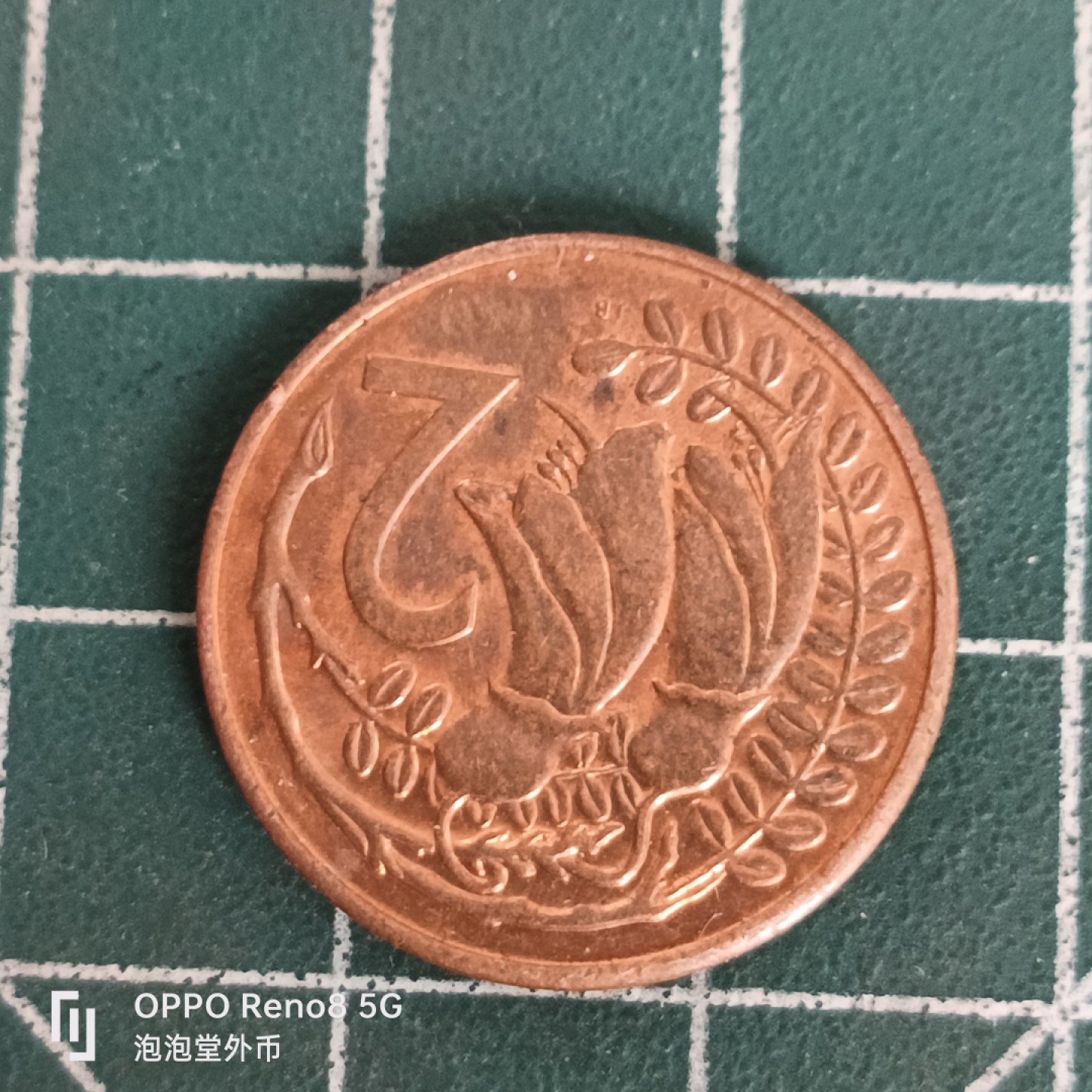 泡泡堂微拍第四十五幕硬币捡漏专场👿👿，零佣金，零押金，累计满二十元包邮 新西兰好品老二分