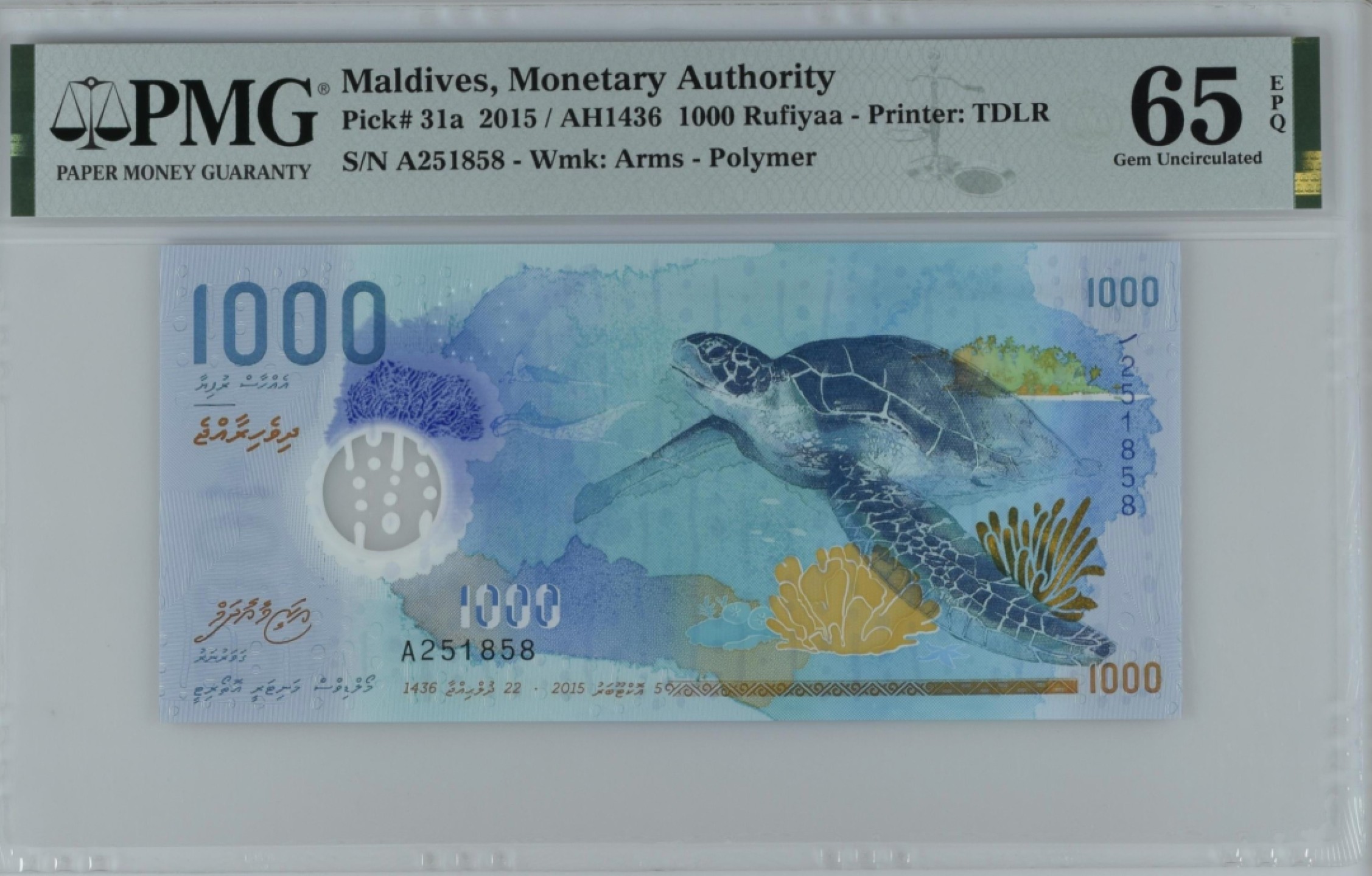 《张总收藏》83期——外币精品 马尔代夫1000元 PMG65E 2015年塑料钞 绝品品相