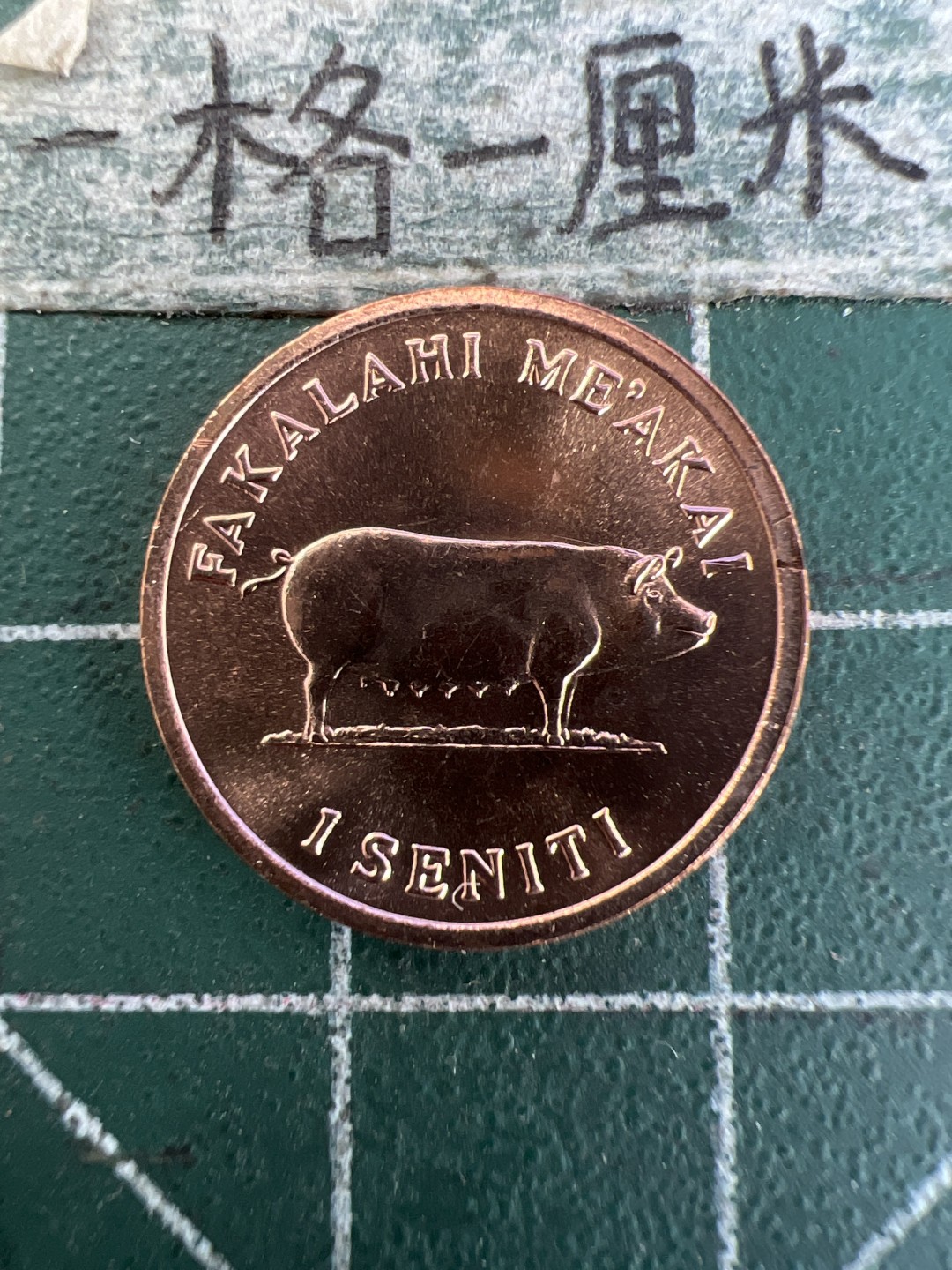 泡泡堂第171期  世界硬币邮票专场（无押金，无佣金，捡漏，全场20包邮，偏远地区除外） 汤加1979年全新粮农一分