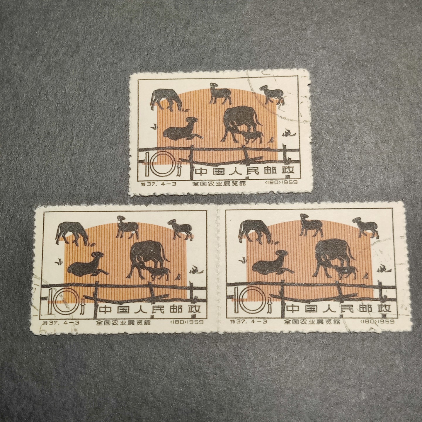 洪涛臻品批发群  精选邮票限时拍卖第一百零七期 特37农业展览馆4-3 单枚及双连  版撕盖销票 面艳背白 OP全品！老纪特版票资源匮乏, 且买且珍惜！